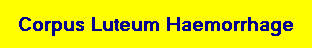 Corpus Luteum Haemorrhage