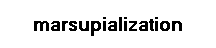 marsupialization