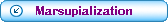 marsupialization