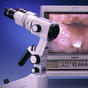 colposcopy serag youssif colposcopy serag youssif
