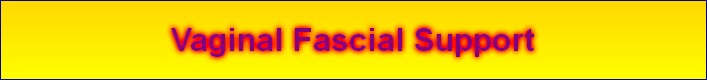 Vaginal Fascial Support