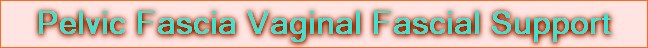 Pelvic Fascia Vaginal Fascial Support