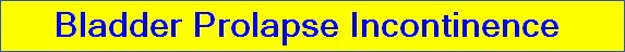 Bladder Prolapse Incontinence 