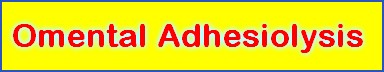 Omental Adhesiolysis 