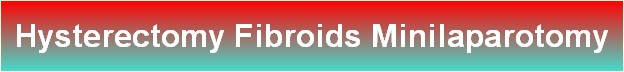 Hysterectomy Fibroids Minilaparotomy