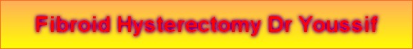 Fibroid Hysterectomy Dr Youssif