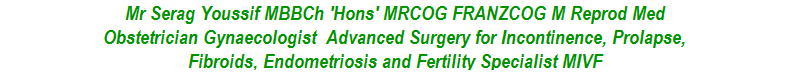 Dr Serag Youssif Gynaecologist Obstetrician Fertility Specialist