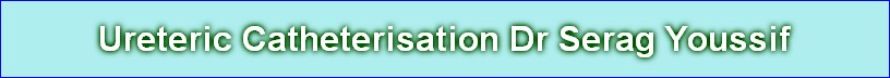 Ureteric Catheterisation Dr Serag Youssif